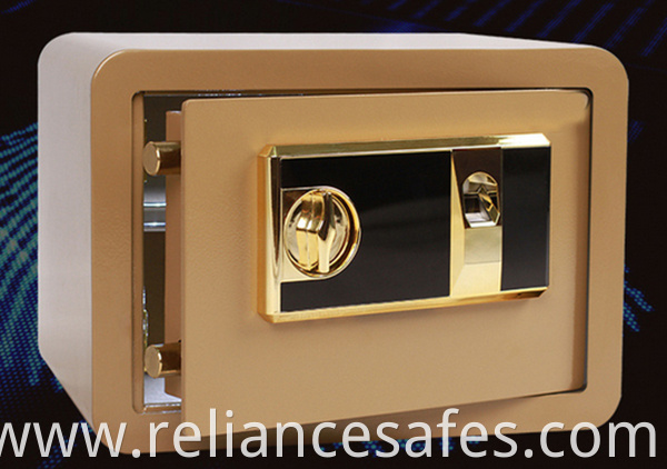 Security Biometric Fingerprint safe